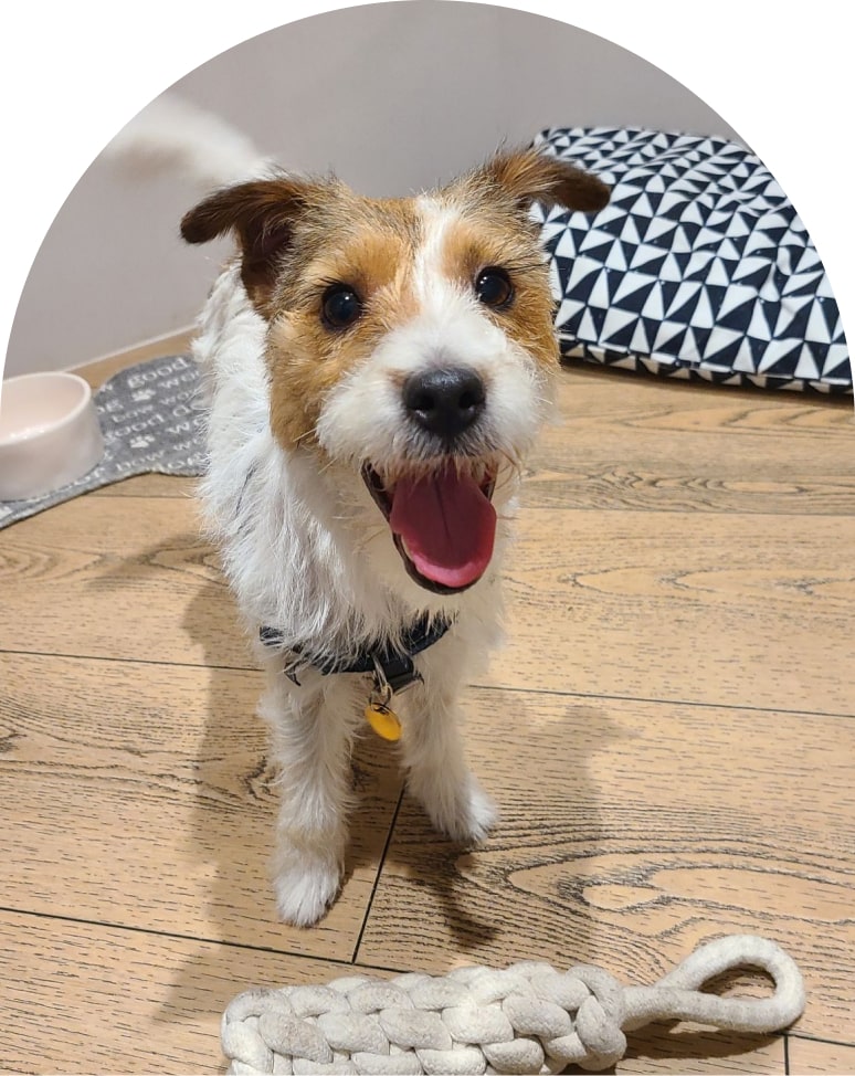 Get More Smiles In Your Inbox