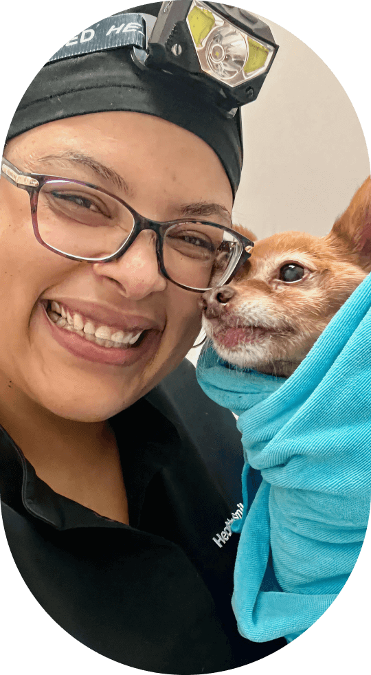 Healthy Smiles team member with pet