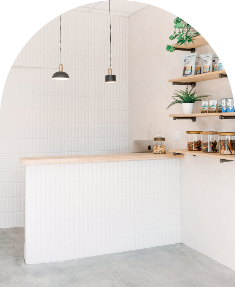 HealthySmiles pet spa