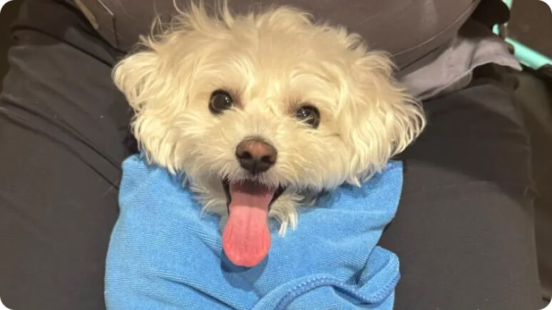 Boca News Now article