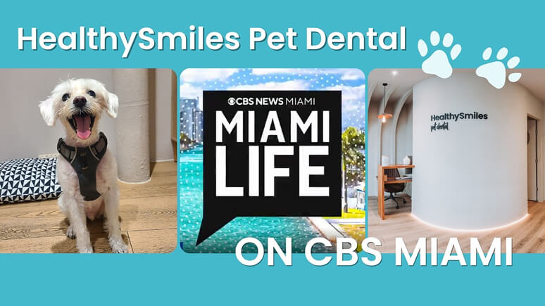 CBS Miami feature