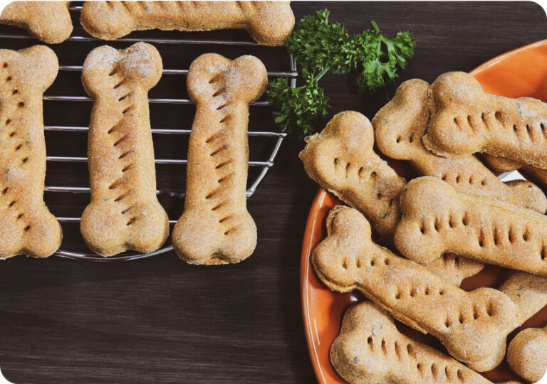 Homemade Dog Treat Recipes for Bad Breath Healthy Smiles