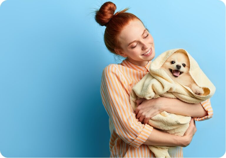 Dog Teeth Cleaning Cost HealthySmiles