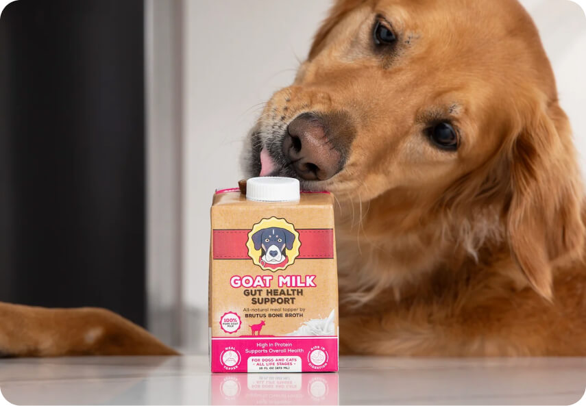 Goat milk for dogs