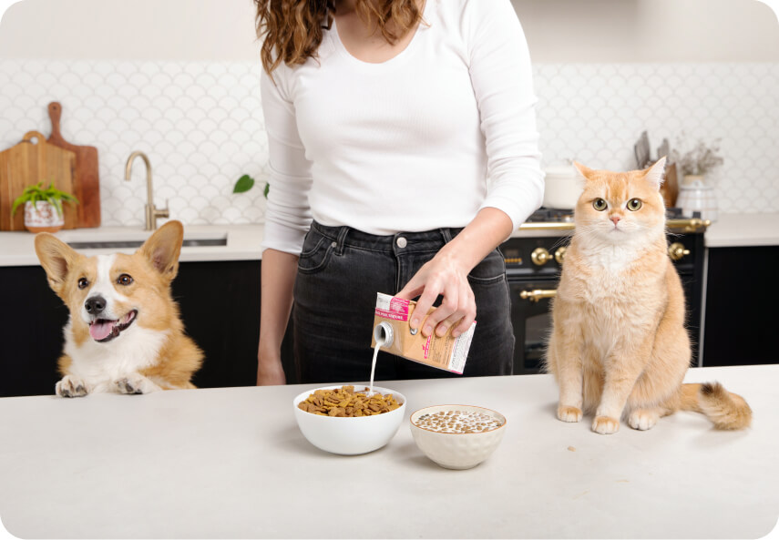 Goat milk for dogs and cats