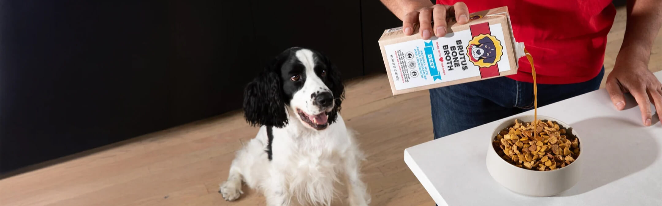 Is Goat Milk Good for Dogs and Cats?